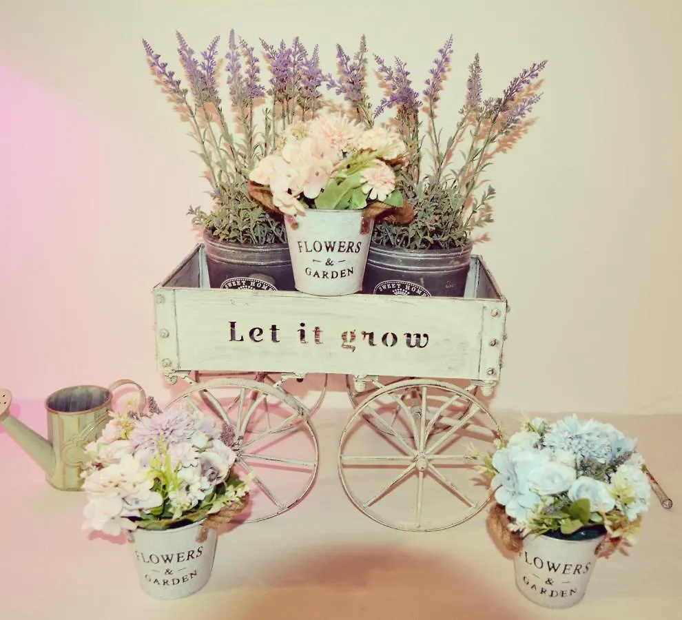 Romantic Dreams Guest House